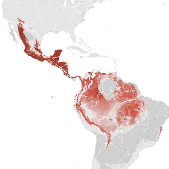 Abundance Map