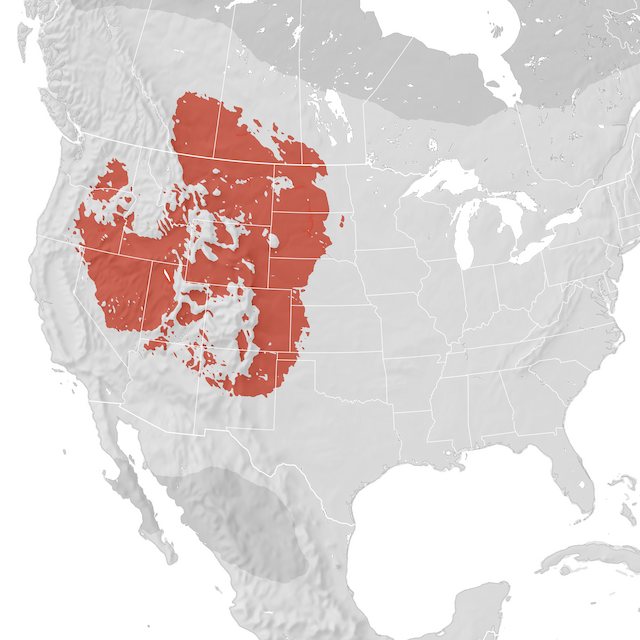 Range Map