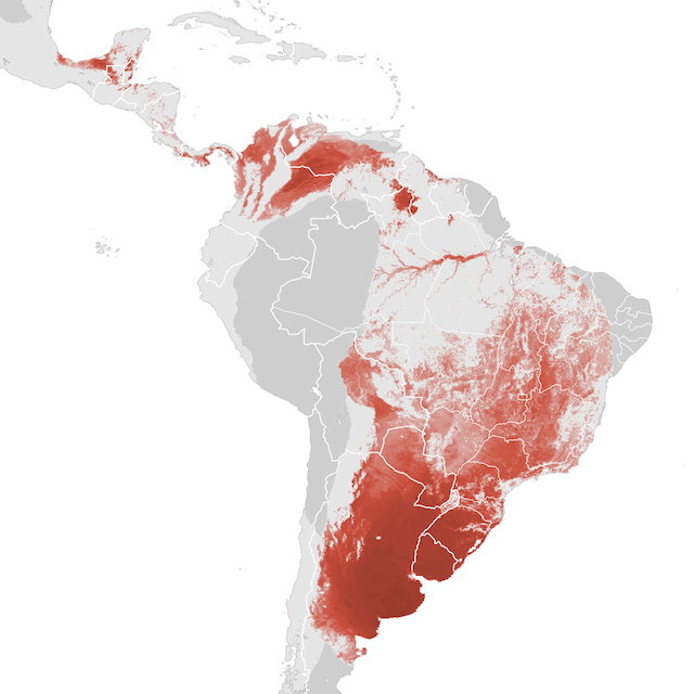 Abundance Map