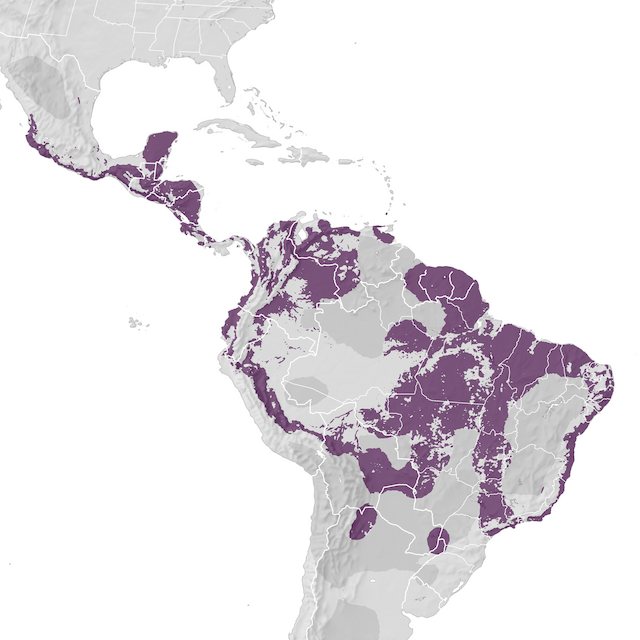 Range Map