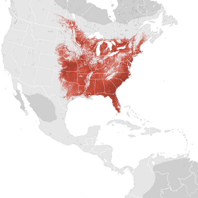 Abundance Map