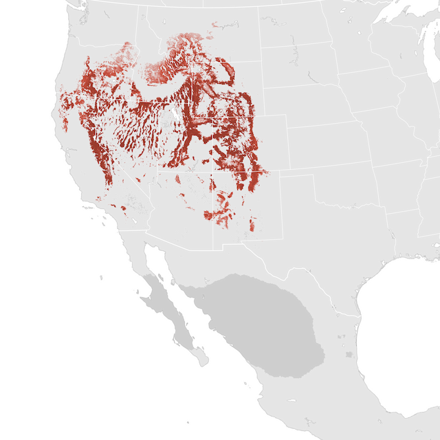 Abundance Map