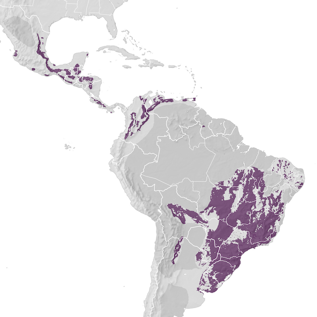 Range Map