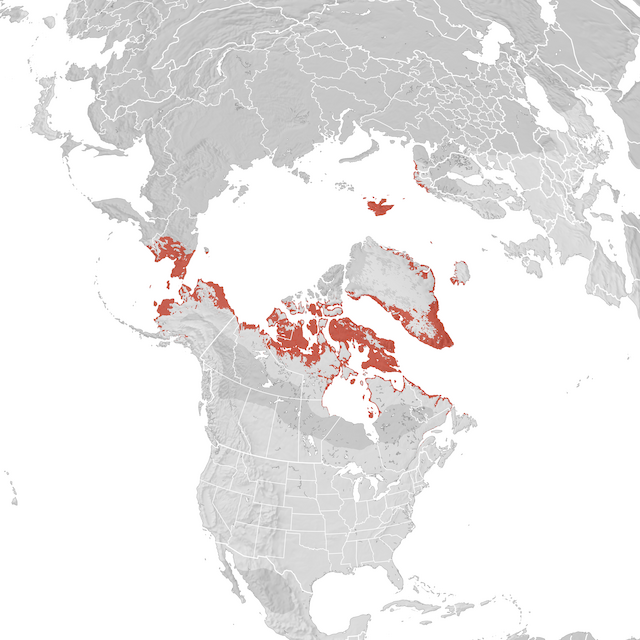Range Map