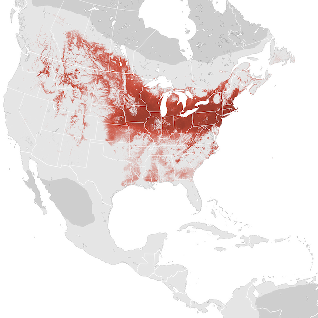 Abundance Map