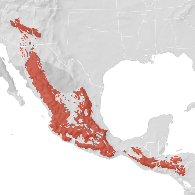 Range Map