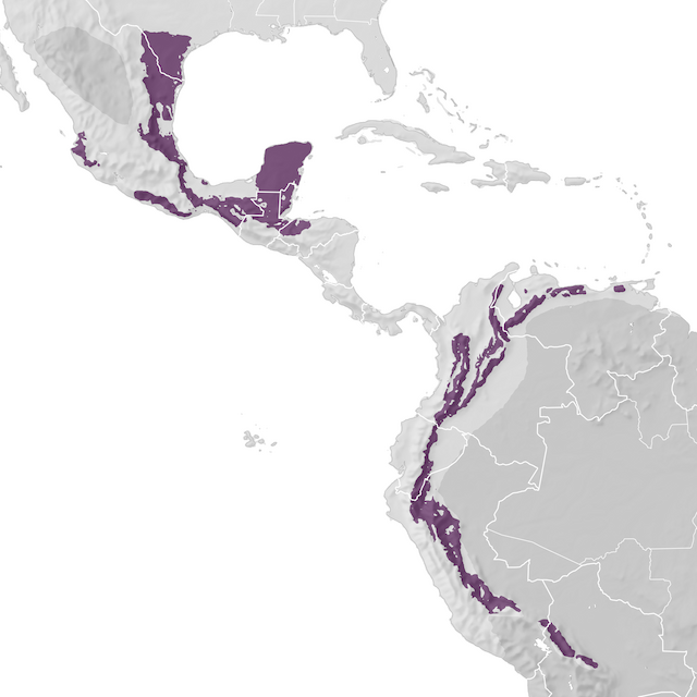 Range Map