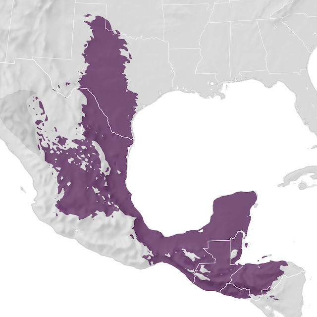 Range Map