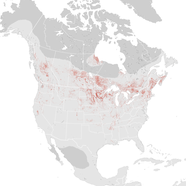 Abundance Map