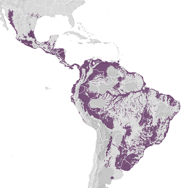 Range Map