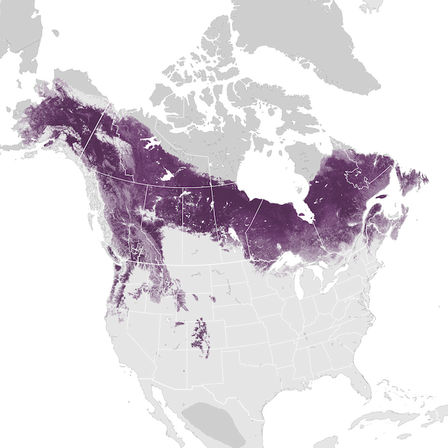 Abundance Map
