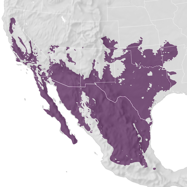 Range Map