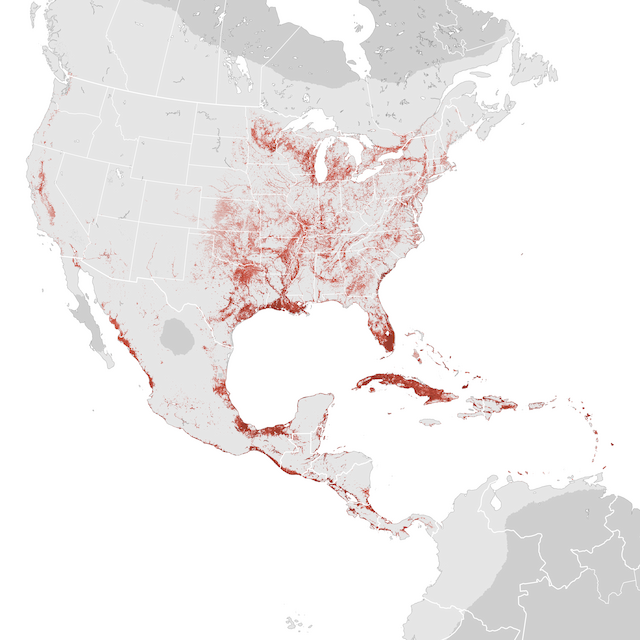 Abundance Map