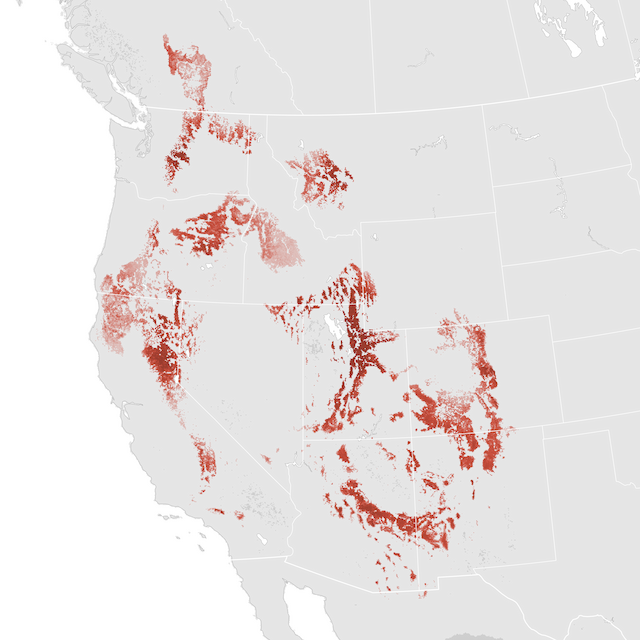 Abundance Map
