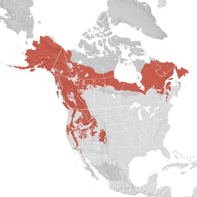 Range Map