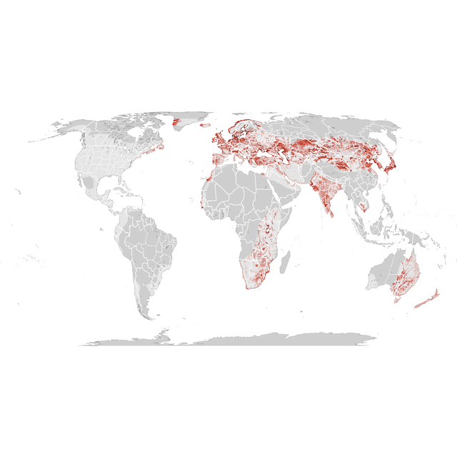 Abundance Map