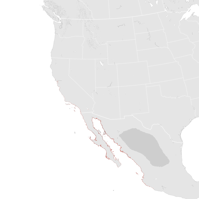 Abundance Map