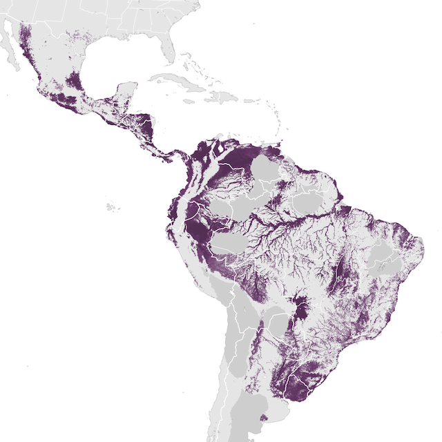Abundance Map