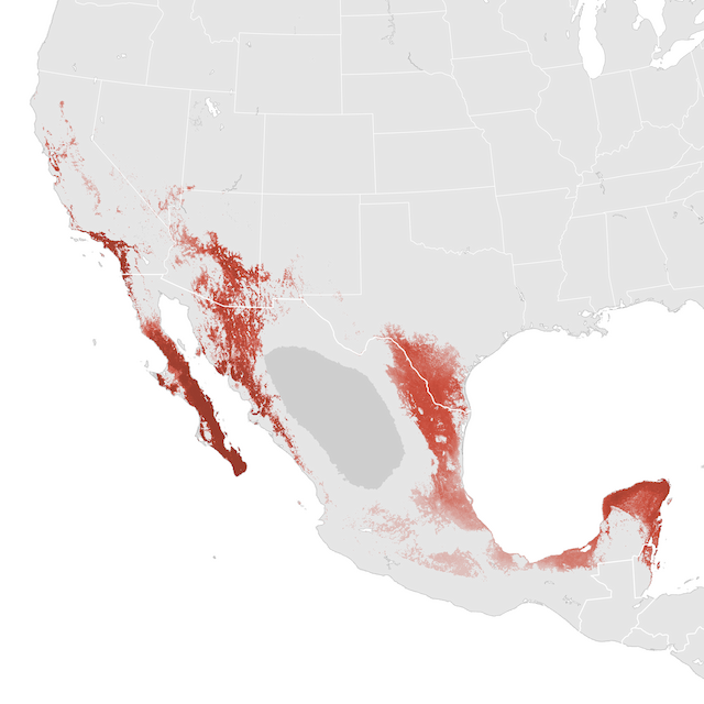 Abundance Map