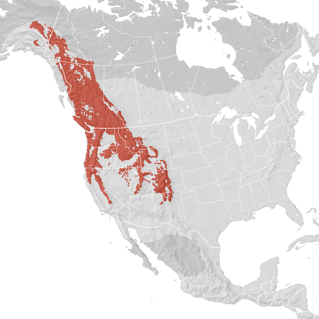 Range Map