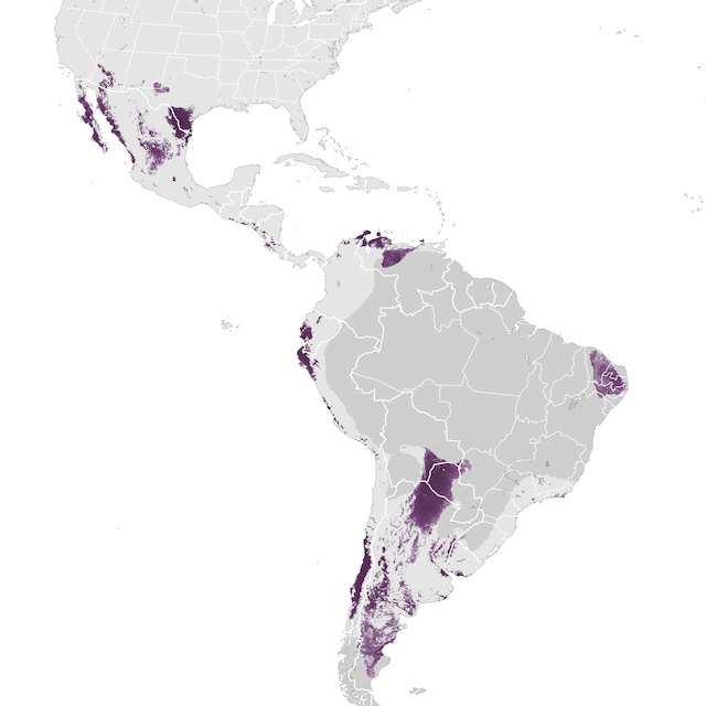 Abundance Map