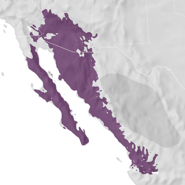 Range Map