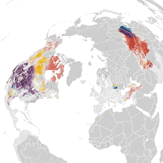 Abundance Map