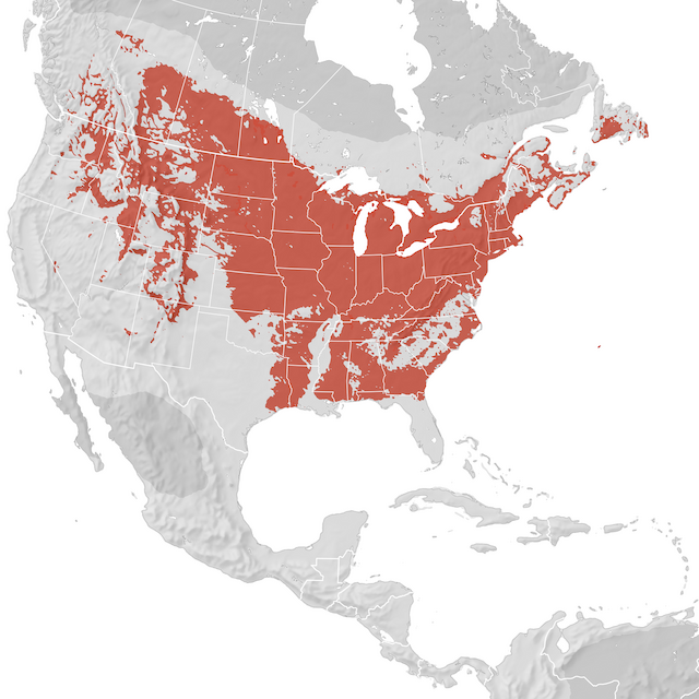 Range Map