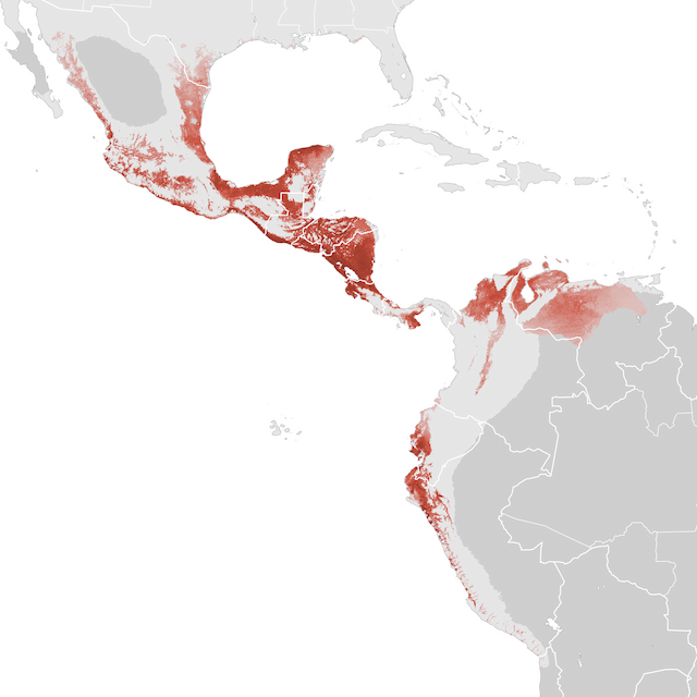 Abundance Map