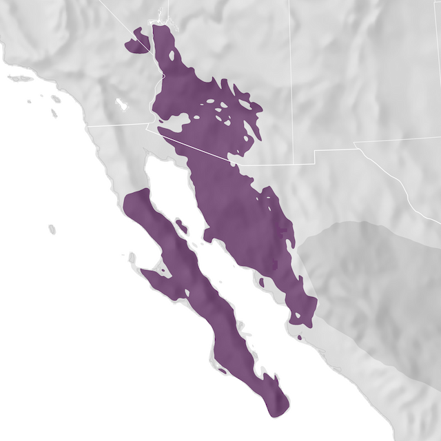 Range Map