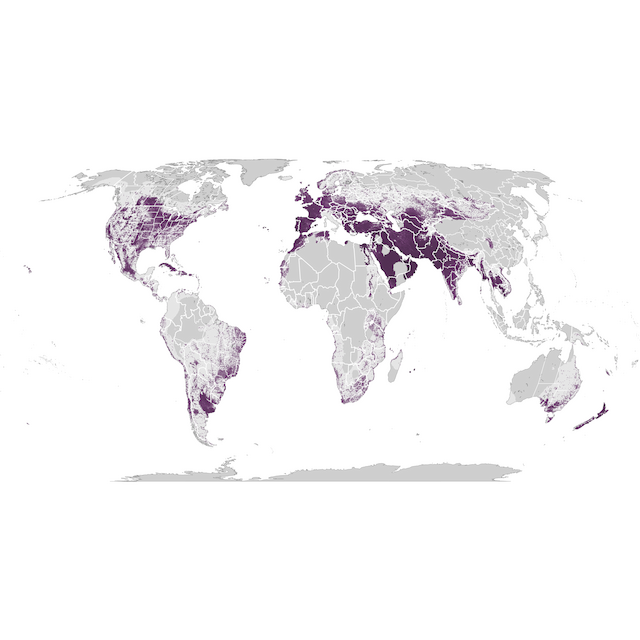 Abundance Map