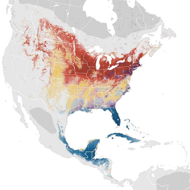 Abundance Map