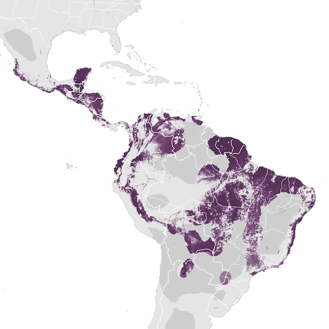 Abundance Map