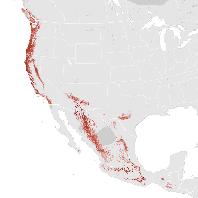 Abundance Map