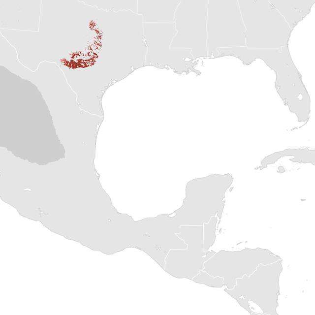 Abundance Map