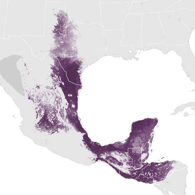 Abundance Map