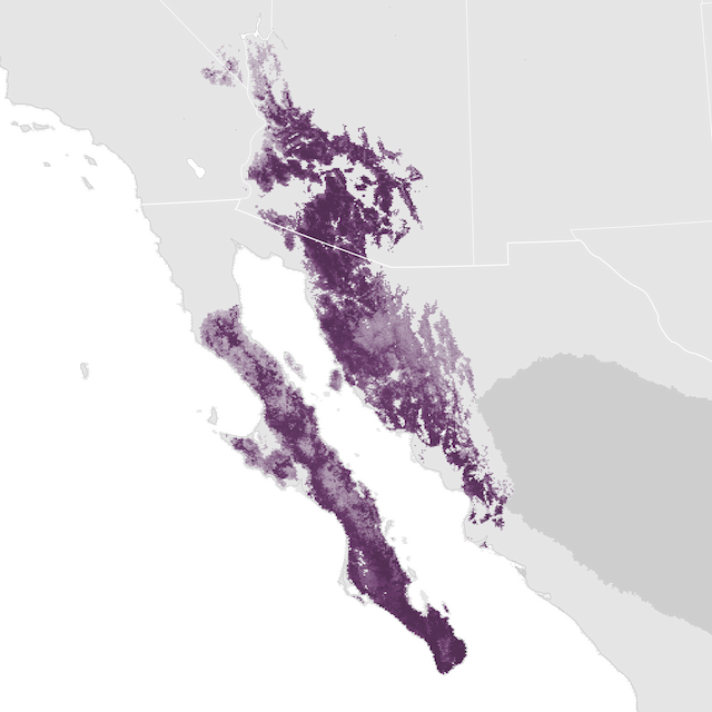Abundance Map