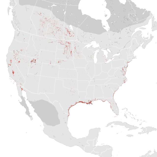 Abundance Map