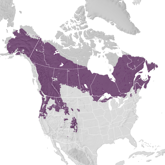 Range Map