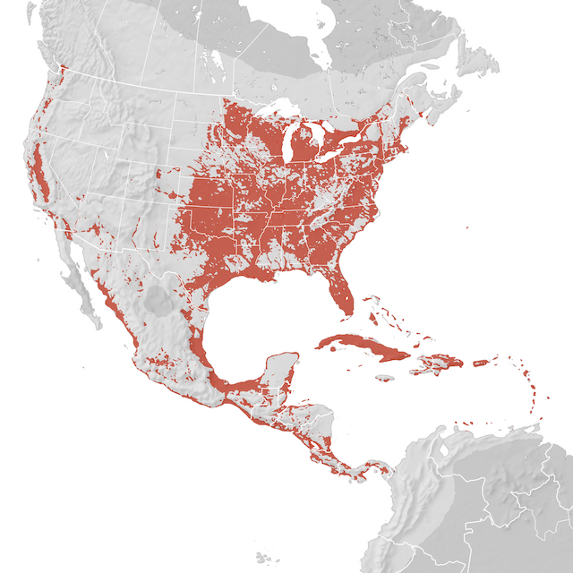 Range Map