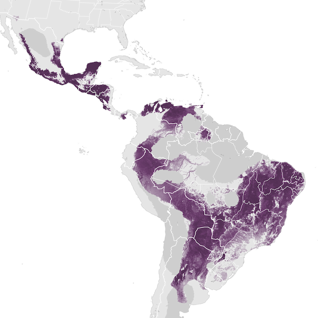 Abundance Map