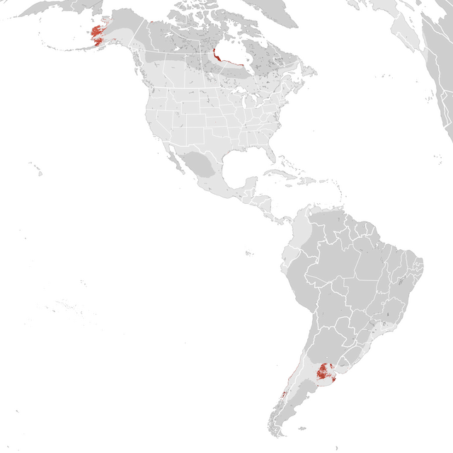 Abundance Map