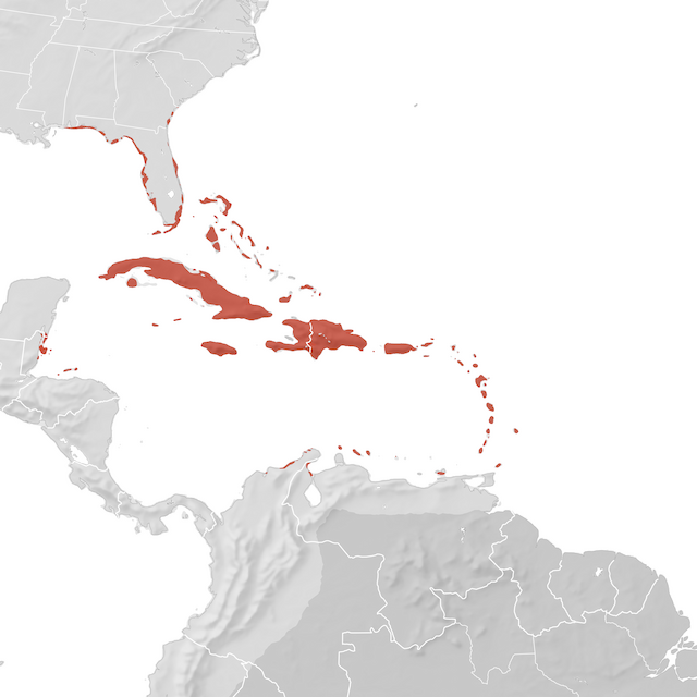 Range Map