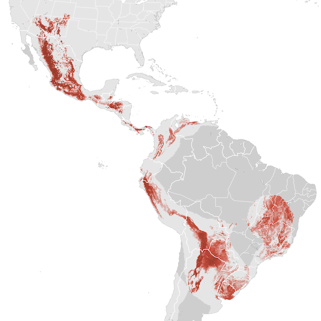 Abundance Map