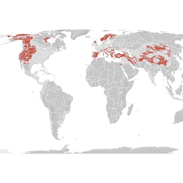 Range Map