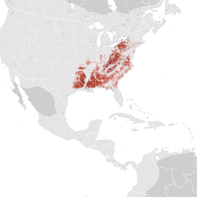 Abundance Map