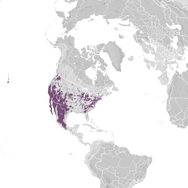 Range Map