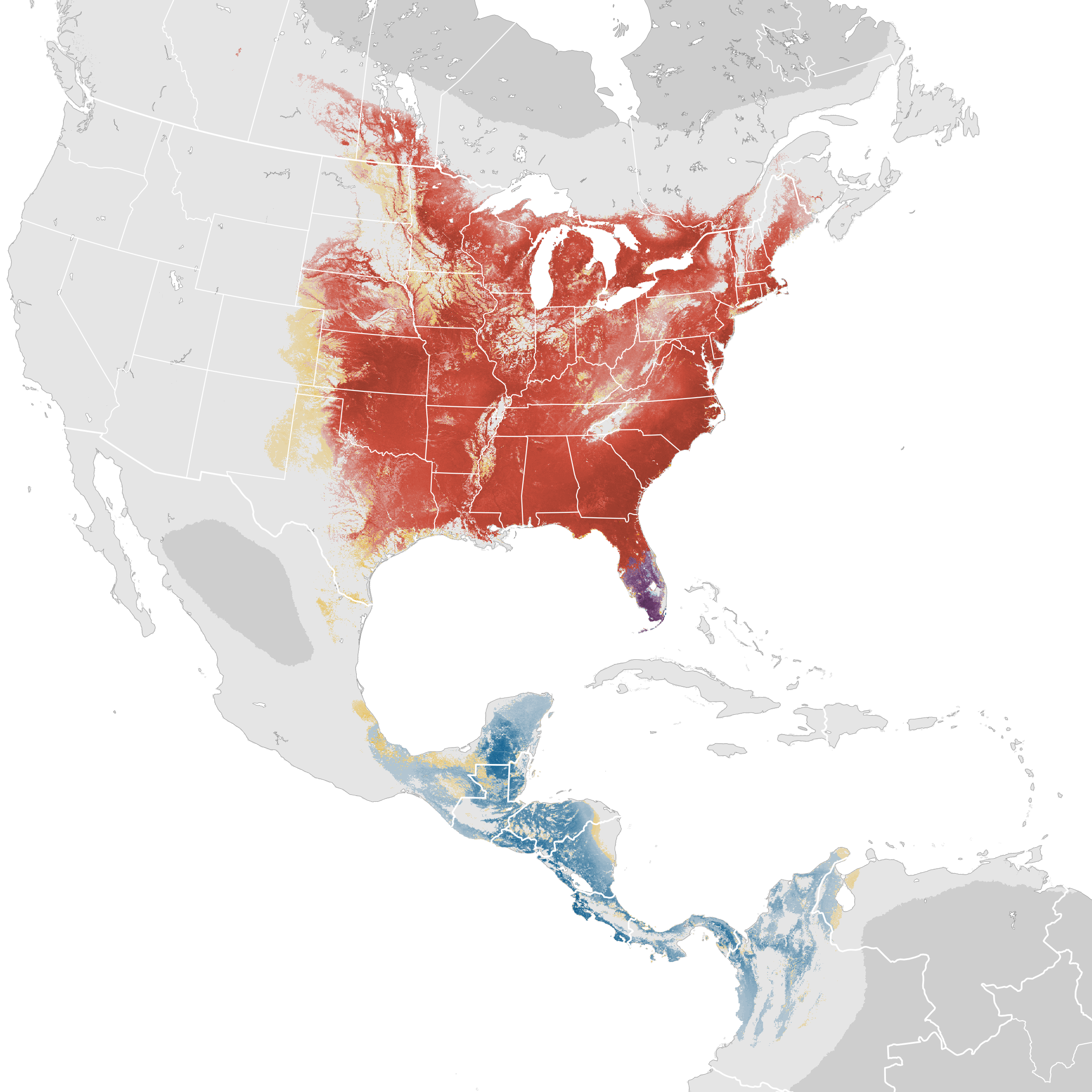 Great Crested Flycatcher Distribution