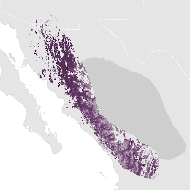 Abundance Map