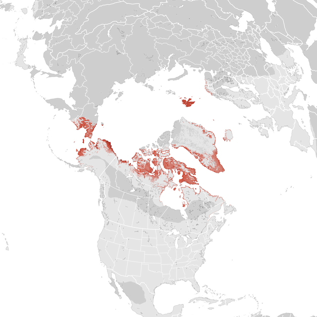 Abundance Map